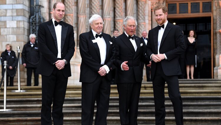El Príncipe Carlos, el Príncipe Guillermo, el Príncipe Harry y David Attenborough en el estreno de 'Our Planet'