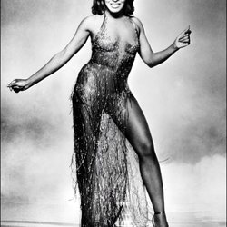 Tina Turner en los años setenta