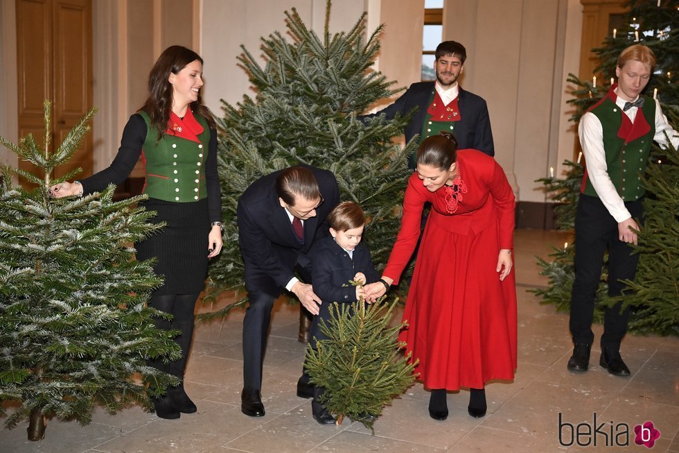 El Príncipe Oscar de Suecia eligiendo con sus padres los Príncipes Victoria y Daniel el árbol de Navidad 2019