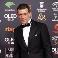 Antonio Banderas en la alfombra roja de los Goya 2020