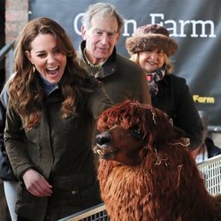 Kate Middleton con una alpaca en una granja en Irlanda del Norte