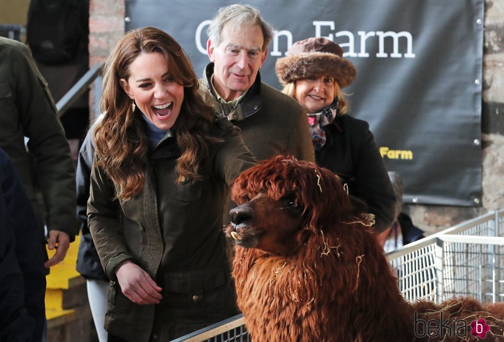Kate Middleton con una alpaca en una granja en Irlanda del Norte