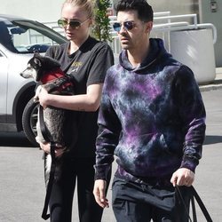 Joe Jonas y Sophie Turner pasean con su perro cogido en brazos