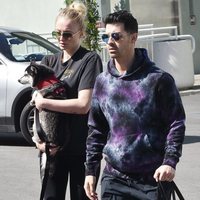 Joe Jonas y Sophie Turner pasean con su perro cogido en brazos
