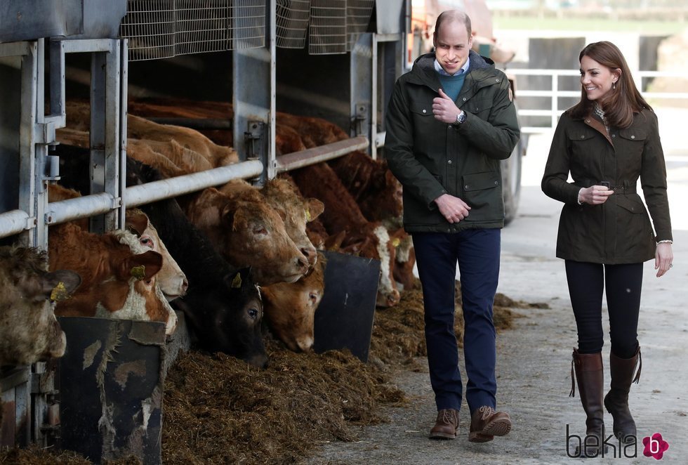 El Príncipe Guillermo y Kate Middleton en una granja en su visita oficial a Irlanda