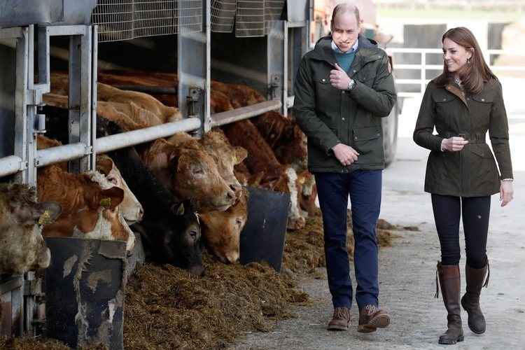 El Príncipe Guillermo y Kate Middleton en una granja en su visita oficial a Irlanda