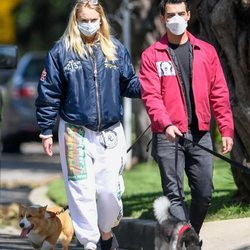 Joe Jonas y Sophie Turner paseando con sus perros