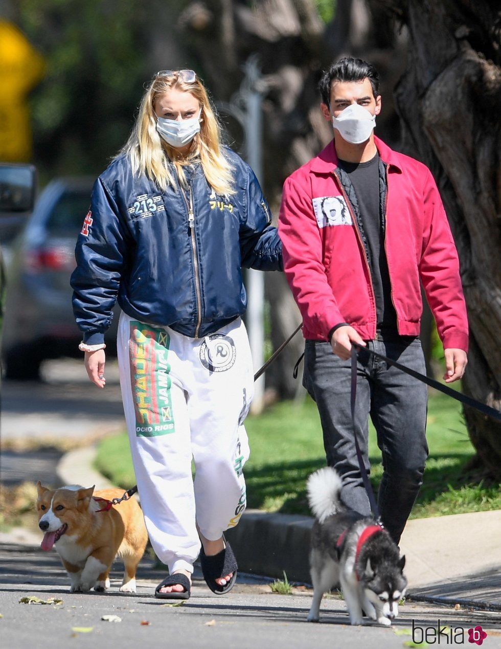 Joe Jonas y Sophie Turner paseando con sus perros