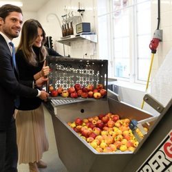 Carlos Felipe y Sofia de Suecia hacen zumo de manzana en su visita a Värmland