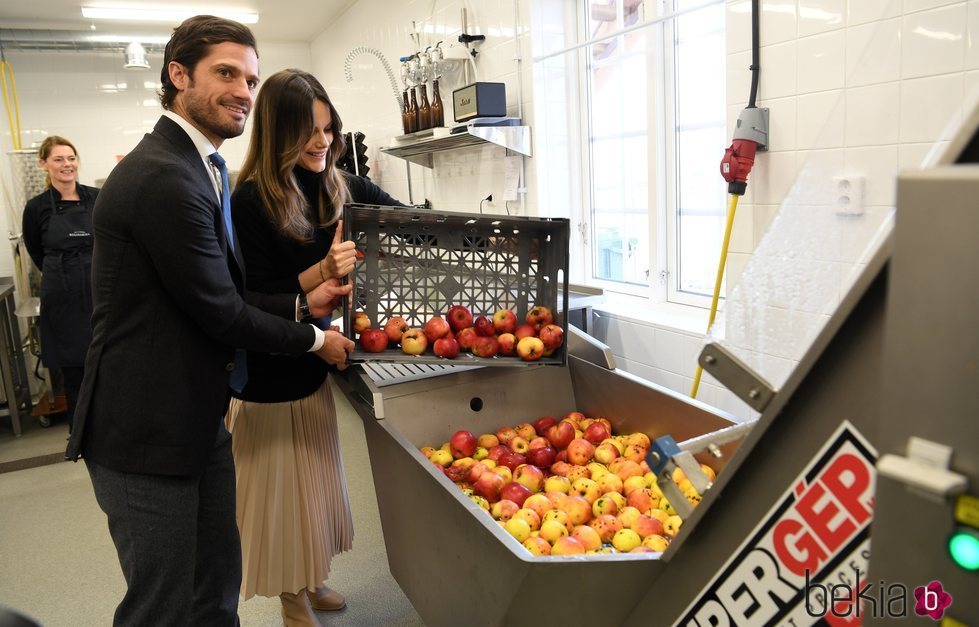 Carlos Felipe y Sofia de Suecia hacen zumo de manzana en su visita a Värmland