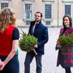Carlos Felipe y Sofia de Suecia en la recogida de árboles de Navidad tras anunciar que esperan su tercer hijo