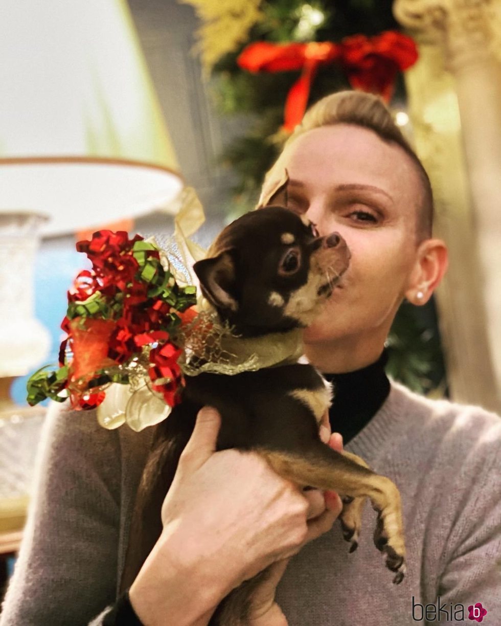 Charlene de Mónaco disfruta de la Navidad 2020 con su perra