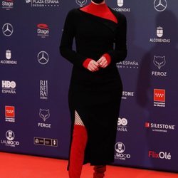 Natalia de Molina en la alfombra roja de los Premios Feroz 2021