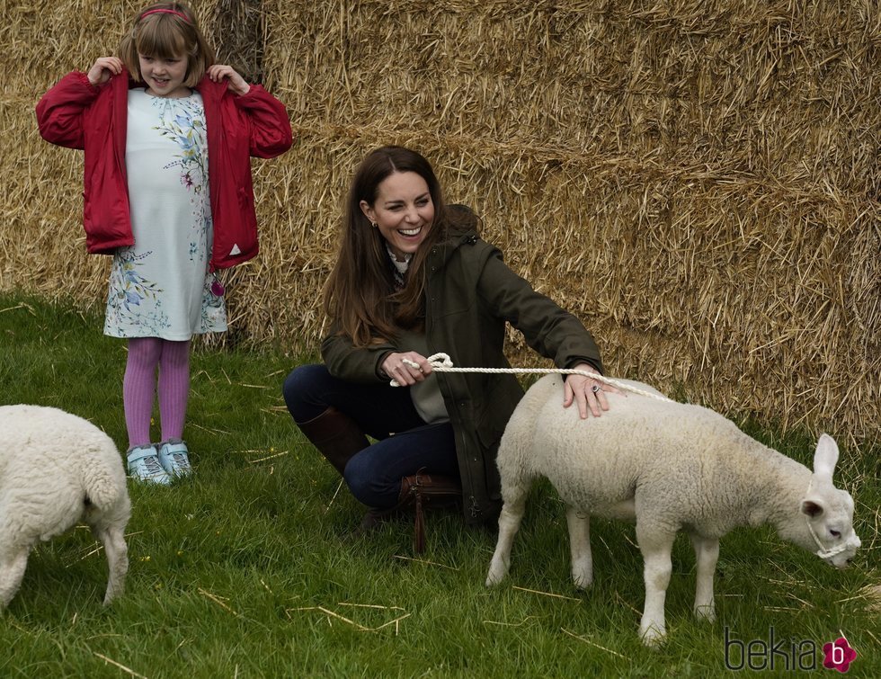 Kate Middleton con una oveja en su visita a una granja en Durhan