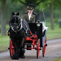 Lady Louise Mountbatten-Windsor llevando un carro de caballos