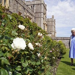 La Reina Isabel en los jardines de Windsor Castle en el homenaje al Duque de Edimburgo por el que hubiera sido su centenario