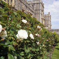 La Reina Isabel en los jardines de Windsor Castle en el homenaje al Duque de Edimburgo por el que hubiera sido su centenario