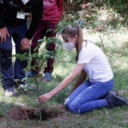 la Infanta Sofía plantando un árbol en el acto del programa europeo #UNÁRBOLPOREUROPA en el Hayedo de Montejo