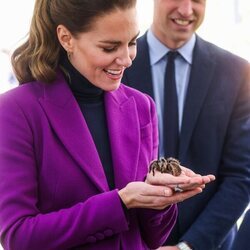 Kate Middleton con la tarántula Charlotte en Irlanda del Norte