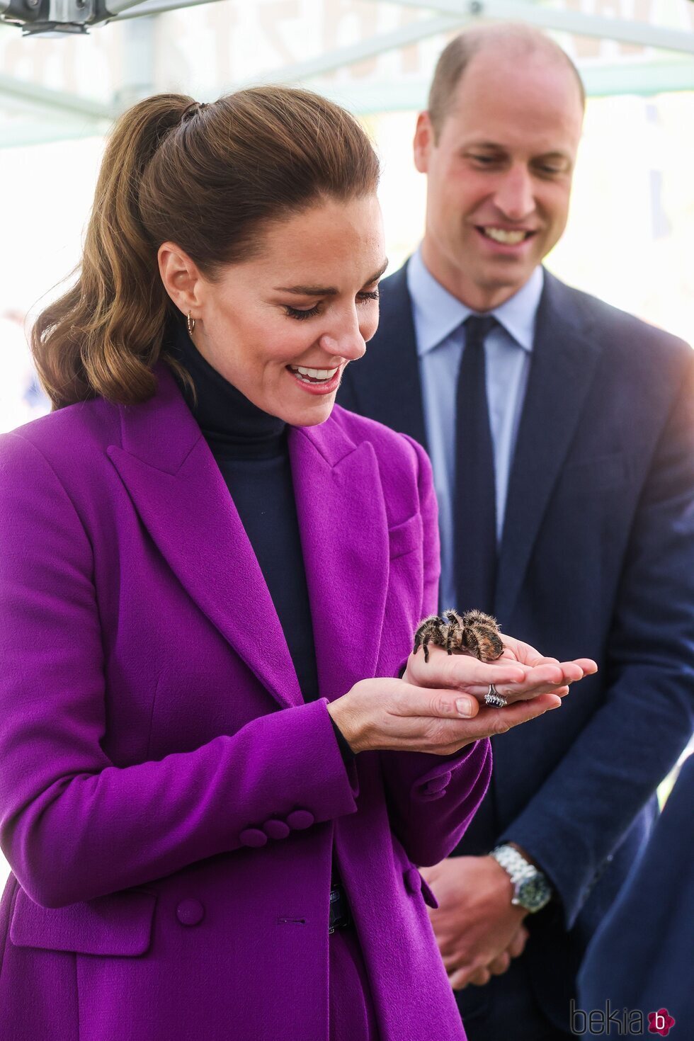 Kate Middleton con la tarántula Charlotte en Irlanda del Norte