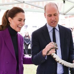 El Príncipe Guillermo con una serpiente en presencia de Kate Middleton en Irlanda del Norte