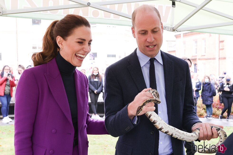 El Príncipe Guillermo con una serpiente en presencia de Kate Middleton en Irlanda del Norte