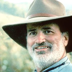 Terrence Malick auteur