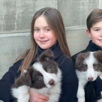 Vicente y Josefina de Dinamarca con sus perros en su 11 cumpleaños