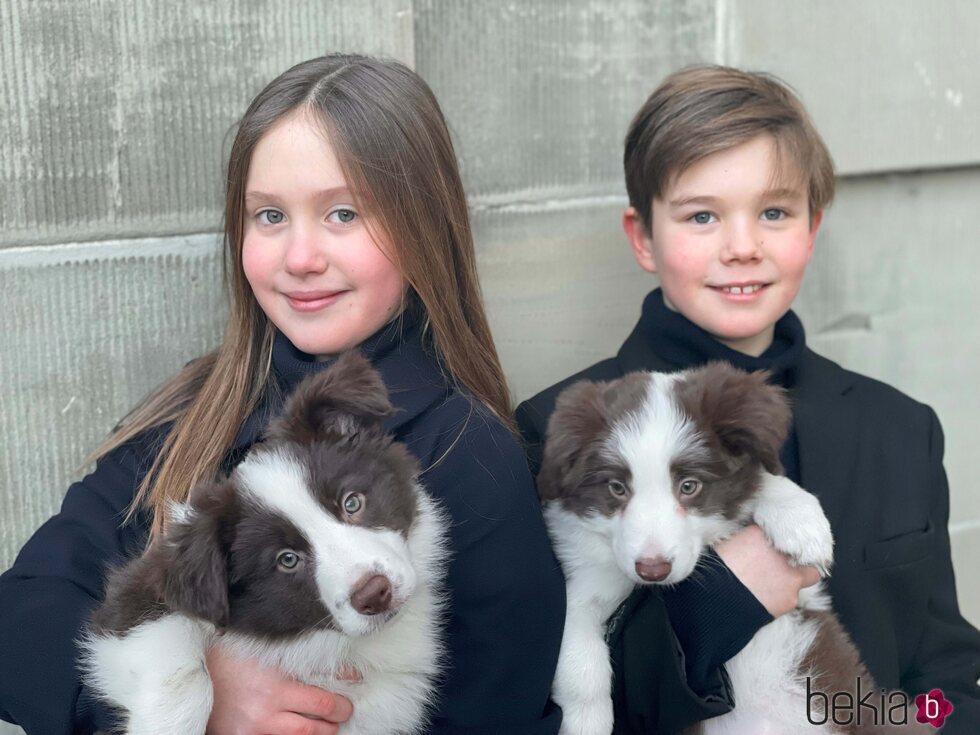 Vicente y Josefina de Dinamarca con sus perros en su 11 cumpleaños