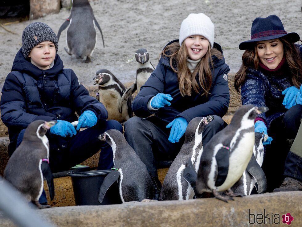 Mary de Dinamarca y sus hijos Vicente y Josefina de Dinamarca con unos pingüinos en la inauguración del Mary's Australian Garden en el zoo de Copenhague