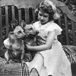 La Reina Isabel de pequeña con sus perros