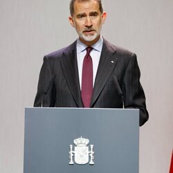 El Rey Felipe durante su discurso en la entrega de medallas de las Bellas Artes 2022