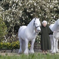 La Reina Isabel en su 96 cumpleaños con sus ponis