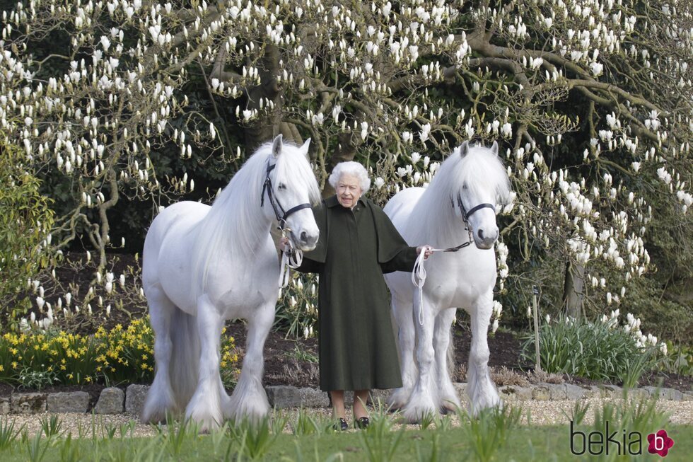 La Reina Isabel en su 96 cumpleaños con sus ponis