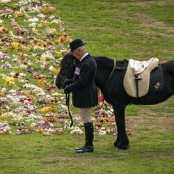 El caballo favorito de la Reina Isabel II, Emma, a la espera del paso del féretro
