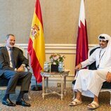 El Rey Felipe VI y el Emir de Catar durante un encuentro en Doha