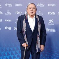 Fernando Esteso en la alfombra roja de los Goya 2023