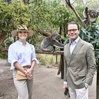 Victoria y Daniel de Suecia con unos koalas en Australia