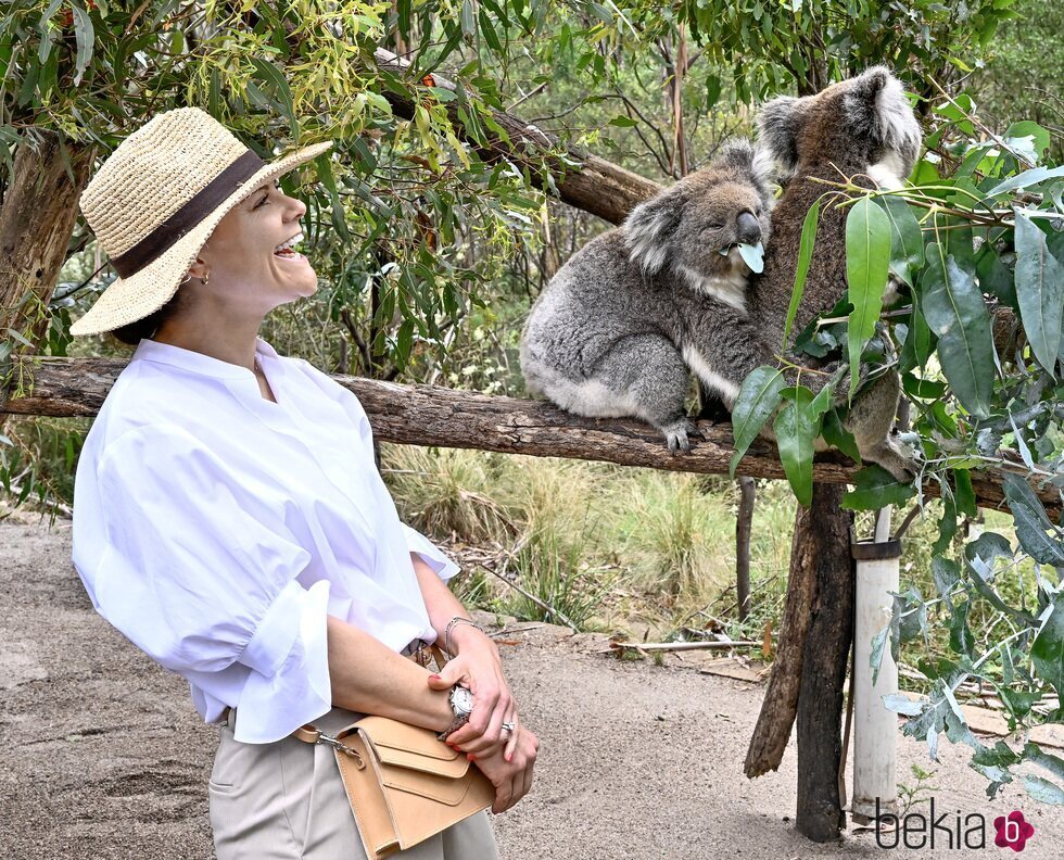 Victoria de Suecia con unos koalas en Australia