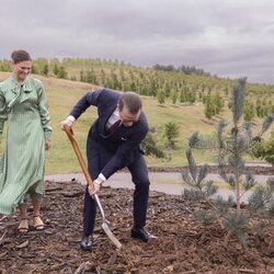 Daniel de Suecia plantando un árbol en el National Arboretum de Australia
