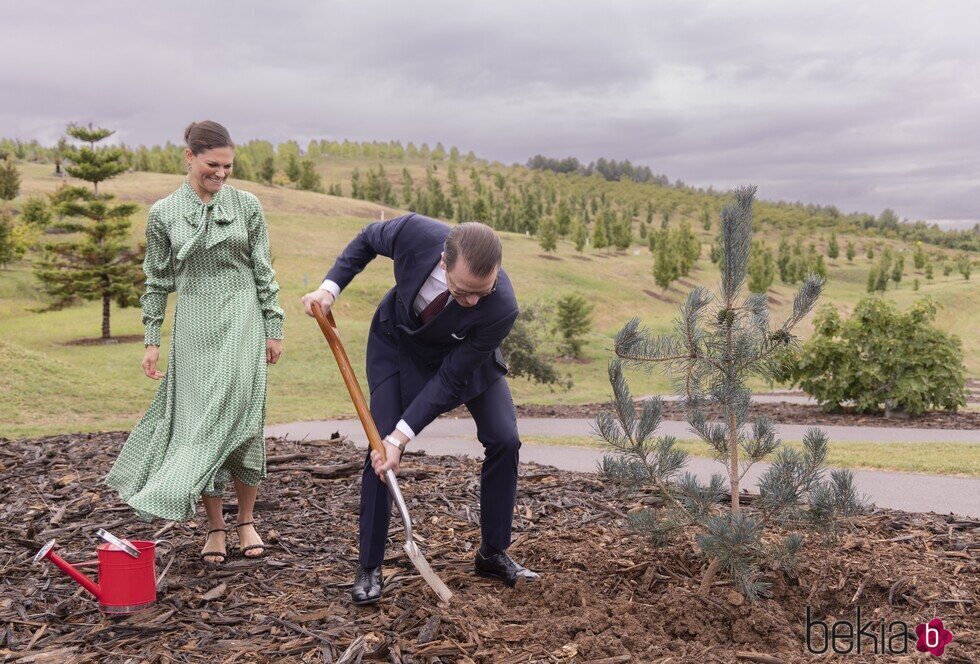 Daniel de Suecia plantando un árbol en el National Arboretum de Australia
