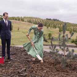 Victoria de Suecia plantando un árbol en el National Arboretum de Australia