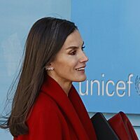 La Reina Letizia en una presentación del Patronato de Unicef España