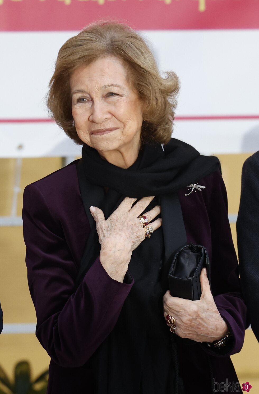 La Reina Sofía con su anillo de pedida en la entrega del Premio Reina Sofía de Pintura y Escultura