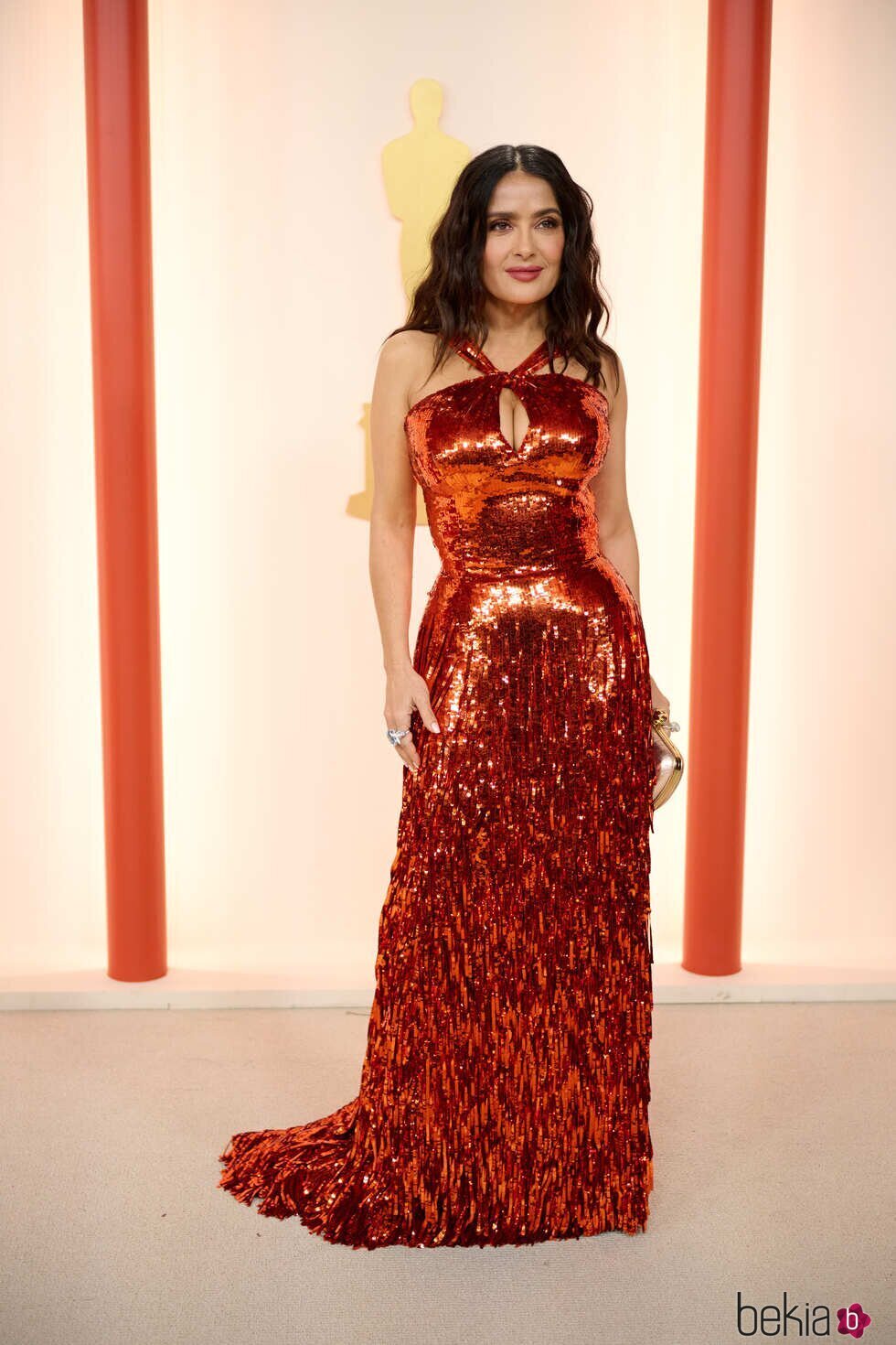 Salma Hayek En La Alfombra Roja De Los Premios Oscar Gala Y