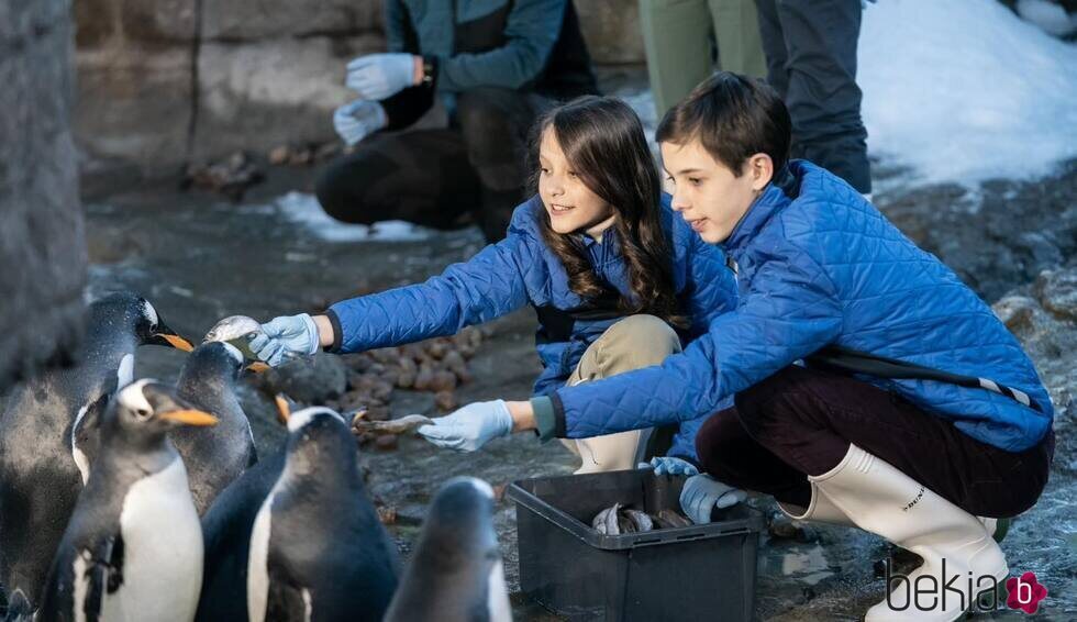 Henrik y Athena de Dinamarca dando de comer a unos pingüinos
