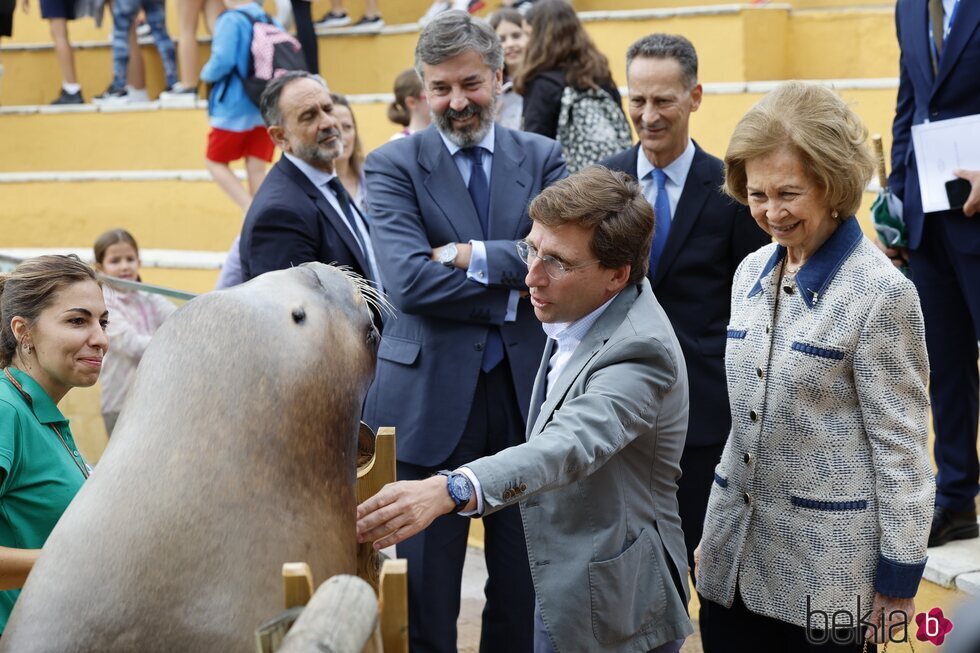 Almeida intenta tocar a un león marino en presencia de la Reina Sofía