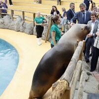 La Reina Sofía y Almeida con un león marino en el Zoo de Madrid
