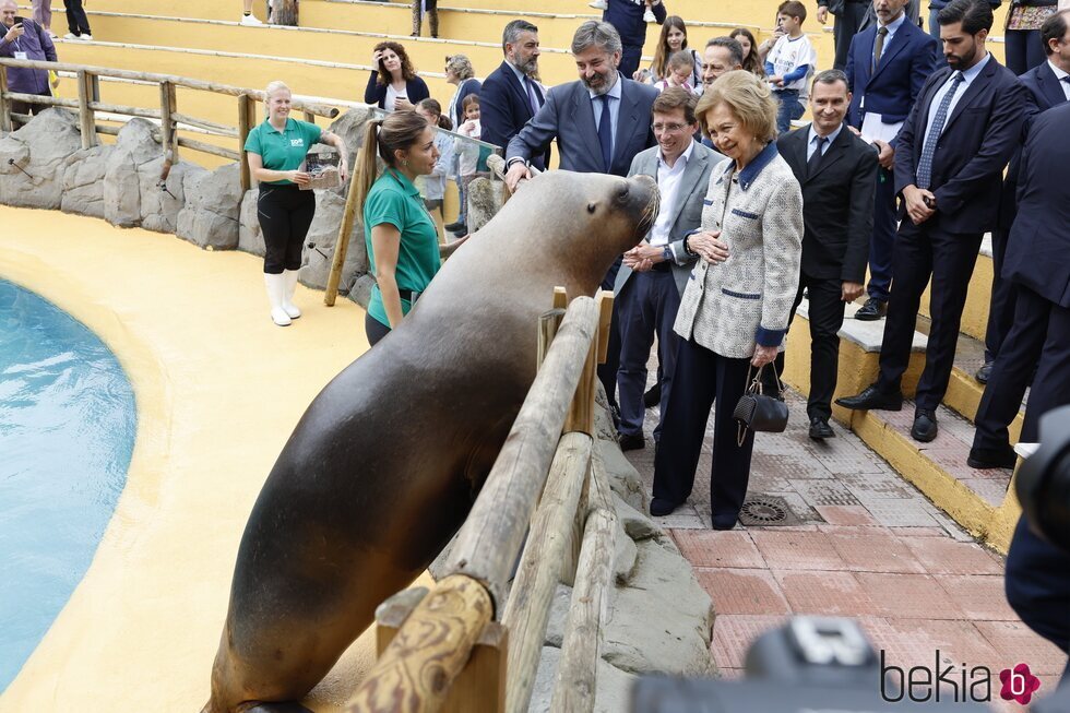 La Reina Sofía y Almeida con un león marino en el Zoo de Madrid