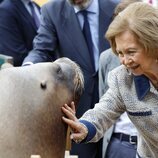 La Reina Sofía acaricia a un león marino en el Zoo de Madrid